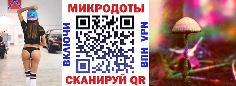 купить   Струнино  Псилоцибиновые грибы GOLDEN TEACHER 